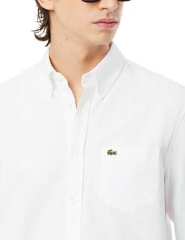 Camisa Lacoste de oxford de algodón liso de hombre