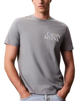 Camiseta Calvin Klein de hombre con ajuste regular