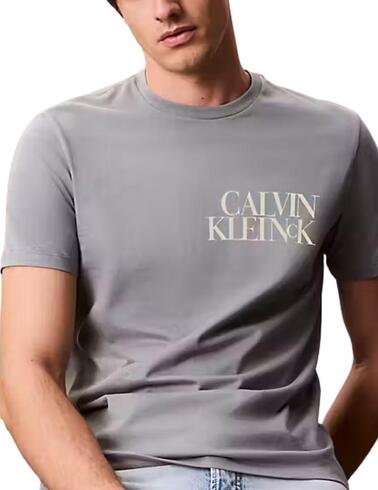 Camiseta Calvin Klein de hombre con ajuste regular