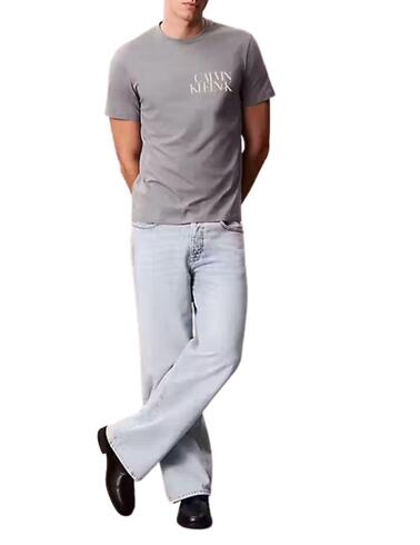 Camiseta Calvin Klein de hombre con ajuste regular