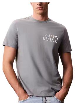 Camiseta Calvin Klein de hombre con ajuste regular