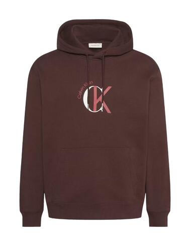 Sudadera Calvin Klein marrón con capucha para hombre
