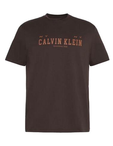 Camiseta Calvin Kleinde manga corta en marrón de hombre