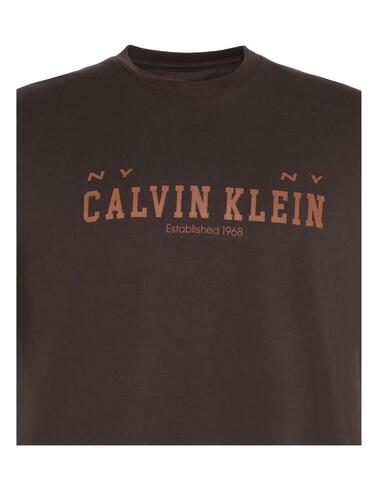 Camiseta Calvin Kleinde manga corta en marrón de hombre
