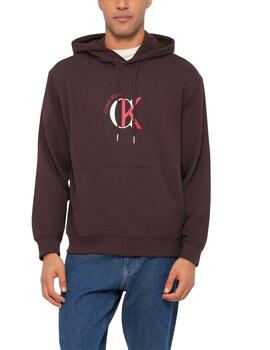 Sudadera Calvin Klein marrón con capucha para hombre