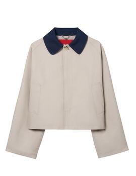 Chaqueta corta Lion of Porches con manga ranglan