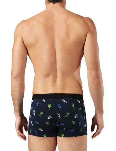 Boxer Diesel 2-pack con estampado de cactus azul