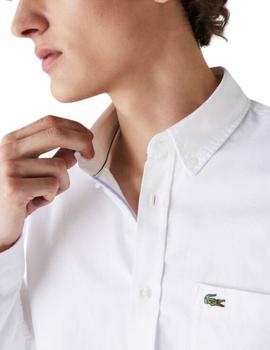 Camisa Lacoste de oxford de algod n liso de hombre blanc