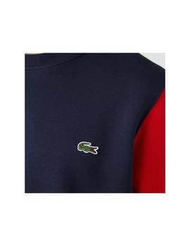 Sudadera Lacoste tricolor de felpa cepillada